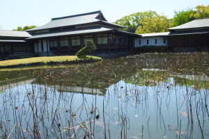 宇佐神宮　宝物殿（25/5）